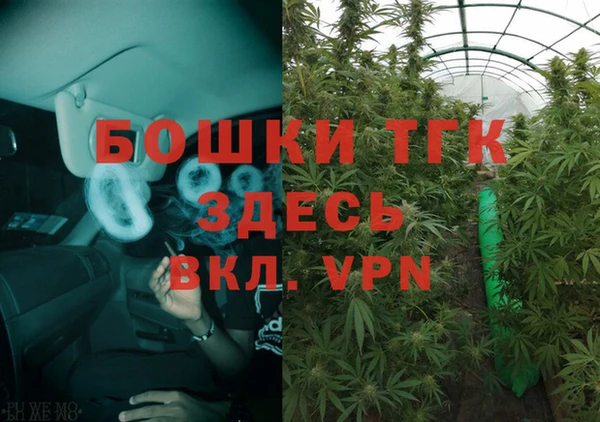 соль ск Костерёво