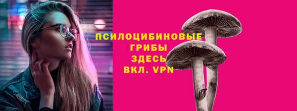 MDMA Premium VHQ Коряжма