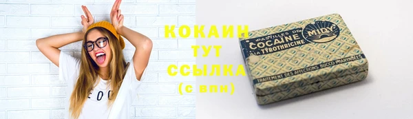 дживик Корсаков