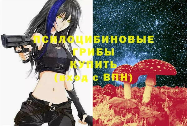 дживик Корсаков